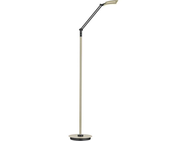 Leselampe Evolo Taupe Eisen 600 lm H 110 cm - LED - Lichtfarbe: Extra warmweiss - Kaltes Tagesweiss - LED Energiesparlampen