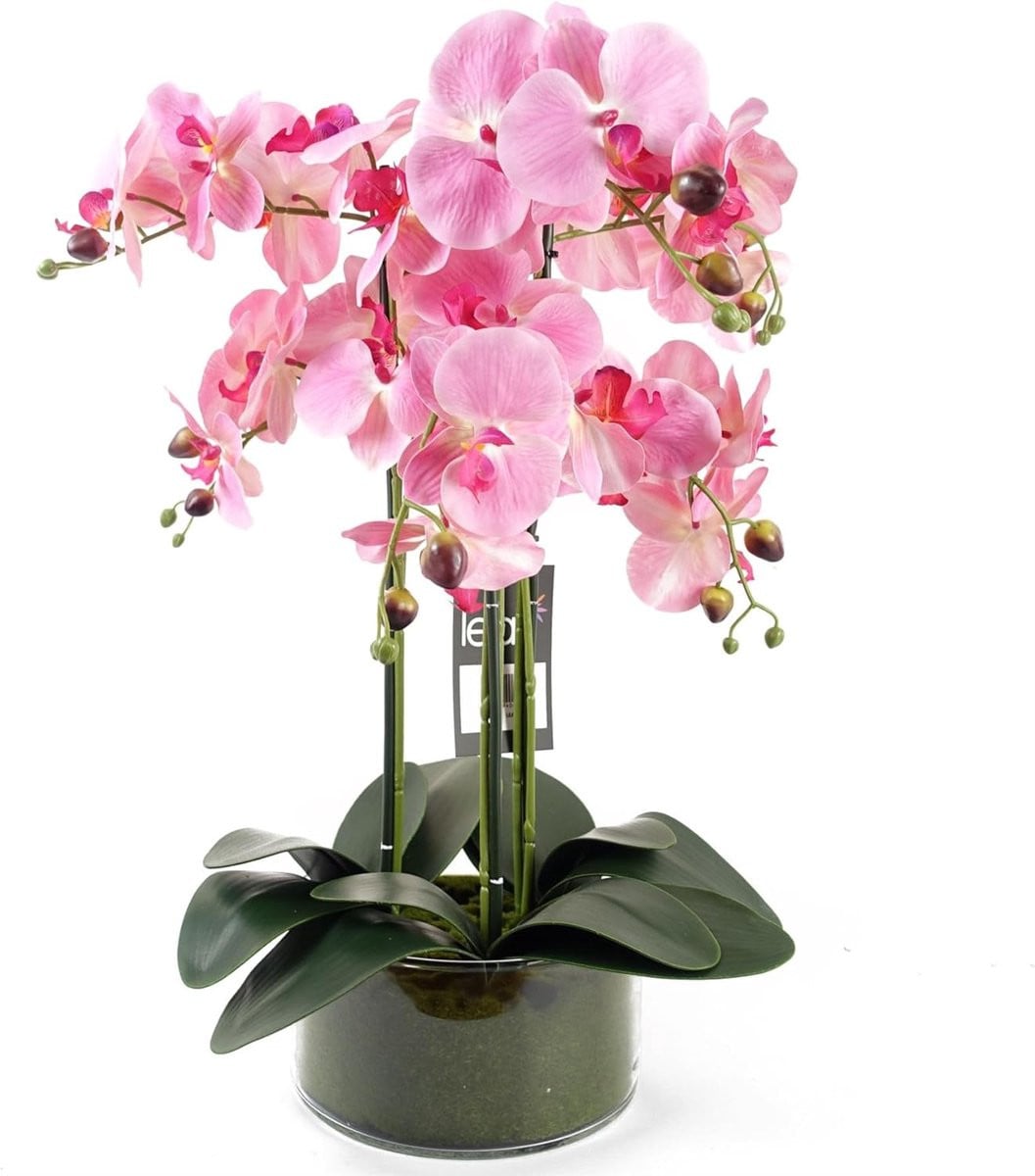 Realistische Nep Orchidee Plant in Pot - Roze Kunstbloem voor Interieur Decoratie - Hoogte: 50 cm