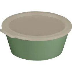 Move Box Lunchbox 1,3 l, grün