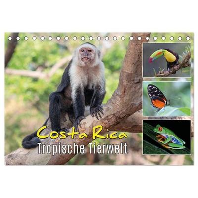 Costa Rica - Tropische Tierwelt (Tischkalender 2027 DIN A5 quer), CALVENDO Monatskalender