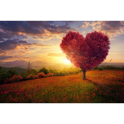 Fototapete PAPERMOON "Herzbaum in Blumenwiese", bunt, B:4m L:2,6m, Vlies, Tapeten