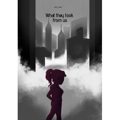What they took from us, Taschenbuch von Ally Lake, Tredition, 978-3-384-86566-3