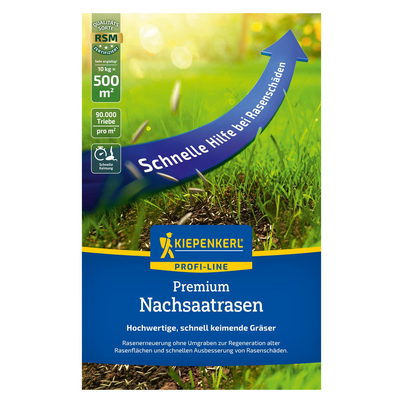 Kiepenkerl Profi-Line Premium Nachsaatrasen, 10 kg (Rasensamen) (01089058-000-00)