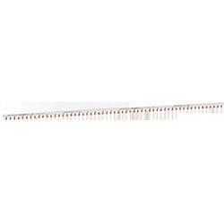 Schneider Electric EZ9XPH257 EZ9XPH257 Phasenschiene 1 St. Piece