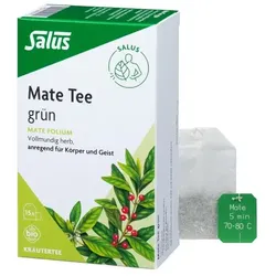 MATE TEE grün Kräutertee Mate folium Bio Salus 15 St