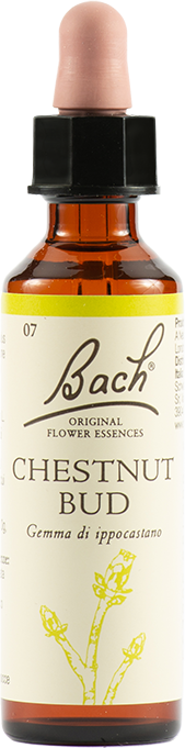 Schwabe Pharma Italia Chestnut Bud Bach Original 20 Ml