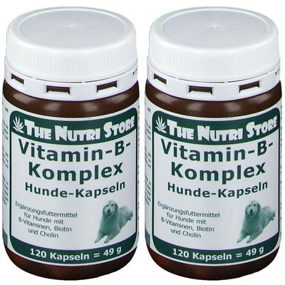 Vitamin B KOMPLEx Hunde x2 2x120 St Kapseln