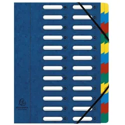 Exacompta, Mappe, Harmonika-Fensterordner mit natürlicher elastischer Future-Karte glänzend 24 Fächer (A4, 4x)