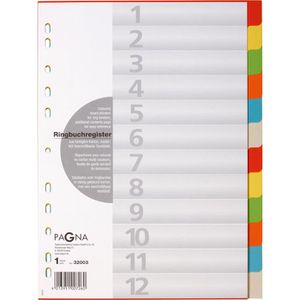 Pagna 32003-20 Karton Register, A4, blanko, 12-teilig, vollfarbig