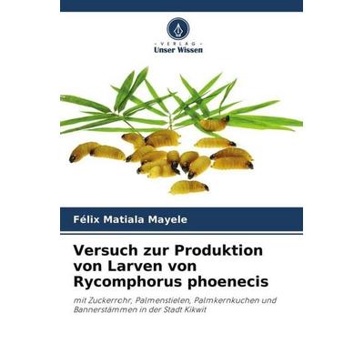 Versuch zur Produktion von Larven von Rycomphorus phoenecis, Taschenbuch von Félix Matiala Mayele, Verlag Unser Wissen, 978-620-4-50619-7
