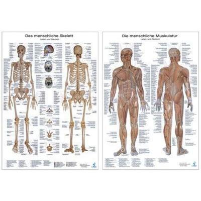 Anatomie Lerntafeln im Doppelpack, Sonstige von , Europa-Lehrmittel, 978-3-8085-6868-2