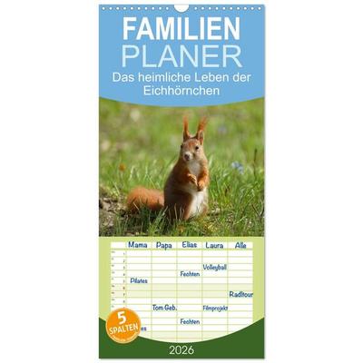 Familienplaner 2026 - Das heimliche Leben der Eichhörnchen mit 5 Spalten (Wandkalender, 21 x 45 cm) CALVENDO