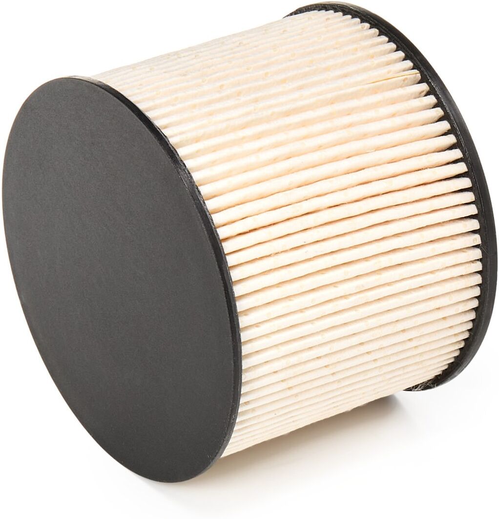 RIDEX 9F0093 Fuel filter