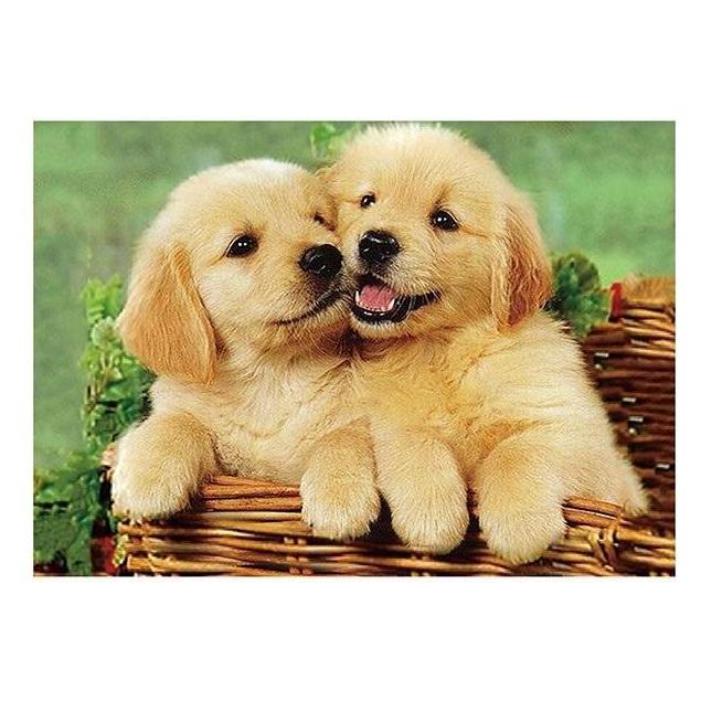 Norimpex 5D-Diamantmosaik - Hunde 40x30cm (53170702)