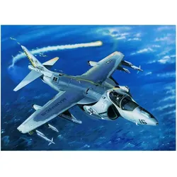 Trumpeter AV-8B Night Attack Harrier II