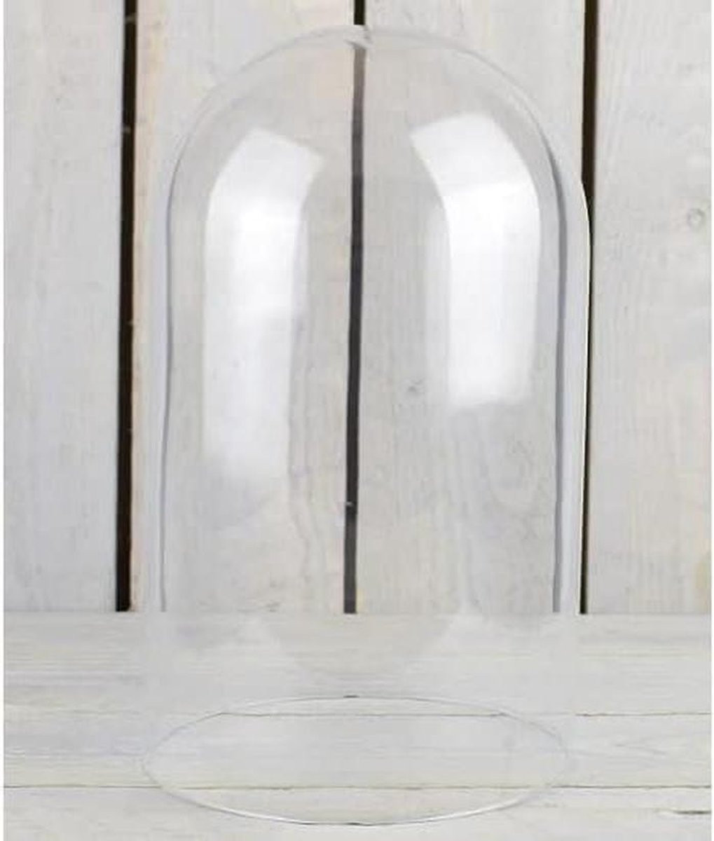 Mondgeblazen Glazen Koepel voor Decoratieve Display, Transparant, 31 x 15 cm