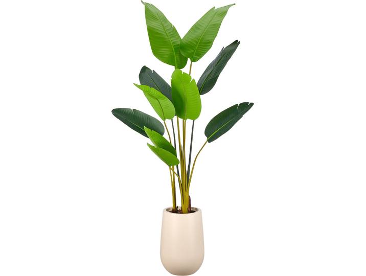 Kunstpflanze CREATIV GREEN Strelitzia nicolai , grün, H:170cm, Obermaterial: 100% Kunststoff, Kunstpflanzen, Kunstpflanze, in beeindruckender Größe