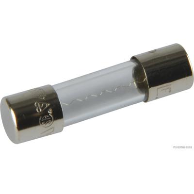 HERTH+BUSS ELPARTS Sicherung 50295048 für Mercedes MAN HOBBYCAR