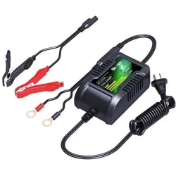 Skyrich, Autobatterie Ladegerät, Lithium-Ion HBC-LF0202 (X20) (12V)