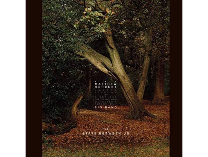 The Matthew Herbert Big Band - The State Between Us