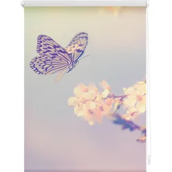 Lichtblick Rollo Klemmfix, ohne Bohren, Verdunkelung, Schmetterling - Rosa
