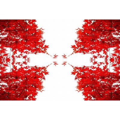 Fototapete ARCHITECTS PAPER "Artwork Trees", rot (rot, weiß), B:4m L:2,7m, Vlies, Tapeten, Vlies, Wand, Schräge