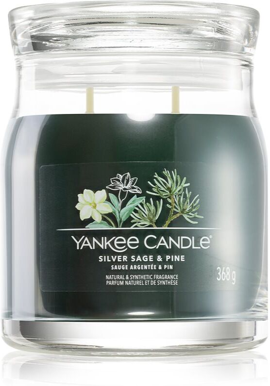 Yankee Candle Silver Sage & Pine Duftkerze Signature 368 g