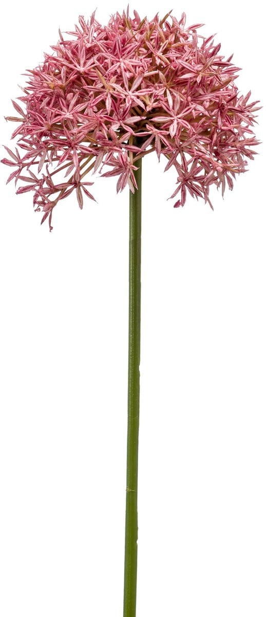 Emerald Kunstbloem Allium roze 62cm - Kunstplant voor binnen