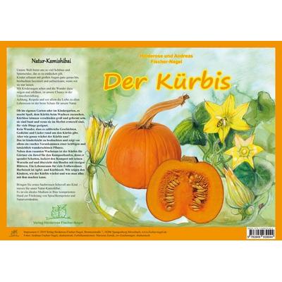 Natur-Kamishibai / Der Kürbis - Natur-Kamishibai -