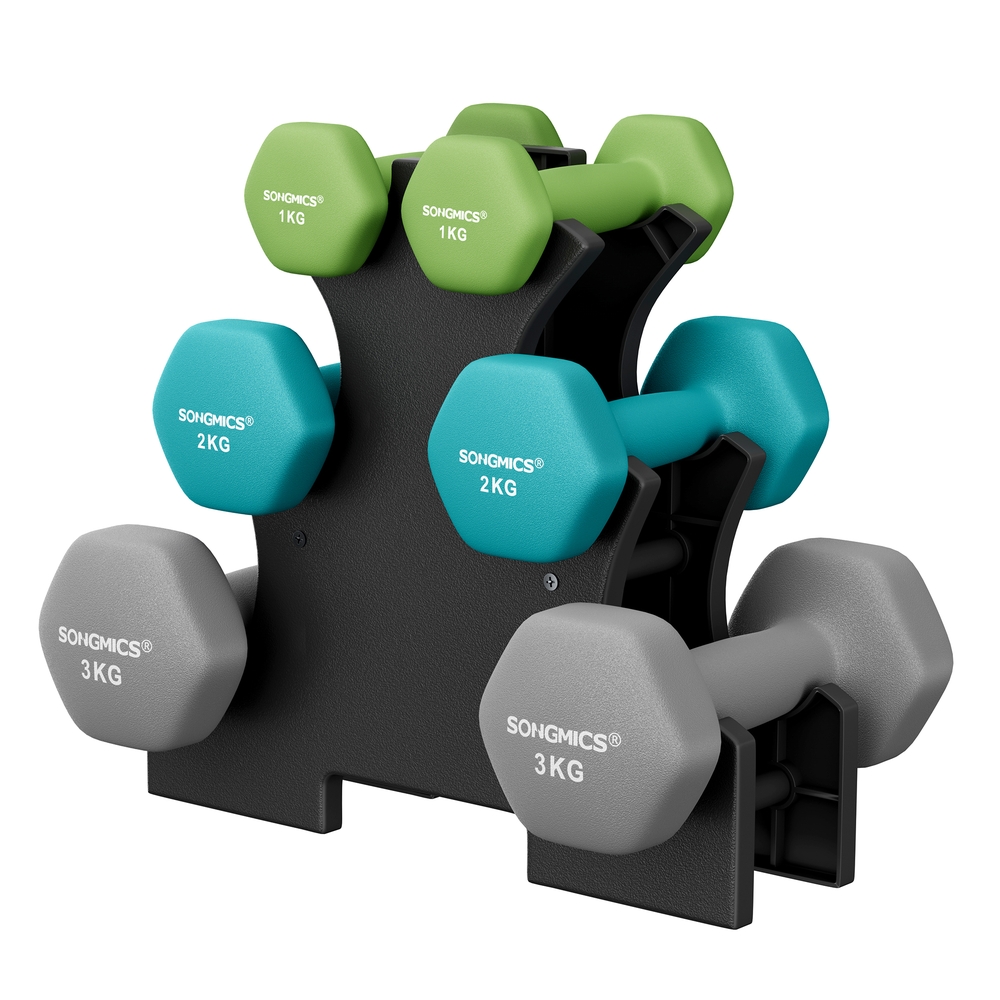 SONGMICS Hantel-Set 1, 2, 3 kg Grau-Grün B34SYL612GN
