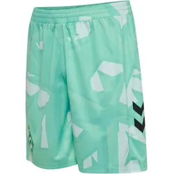 hummel SV Werder Bremen Torwartshorts 2026/27 6194 - ice green XL