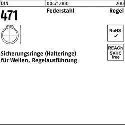 Sicherungsring DIN 471 290x 5 Federstahl Regelausf. 1 Stück
