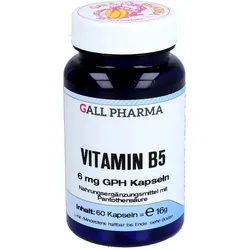 Vitamin B5 6 mg GPH Kapseln
