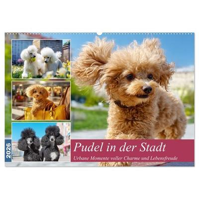 Pudel in der Stadt. Urbane Momente voller Charme und Lebensfreude (Wandkalender 2026 DIN A2 quer), CALVENDO Monatskalender