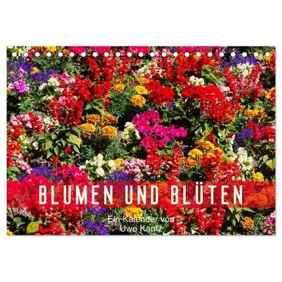 Blumen und Blüten (Tischkalender 2026 DIN A5 quer), CALVENDO Monatskalender