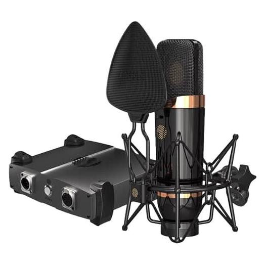 iCON Pro Audio Space 67 Tube Condenser Microphone (110802A2025)