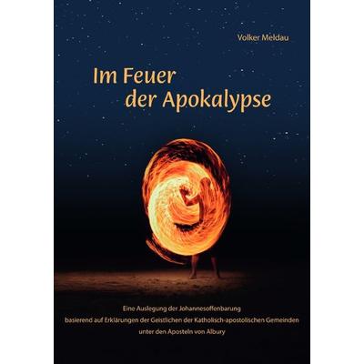 Im Feuer der Apokalypse, Taschenbuch von Volker Meldau, Epubli, 978-3-7565-1942-2