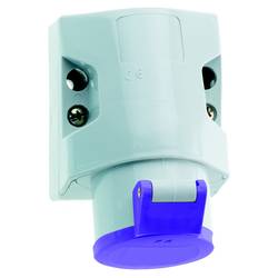 Bals Elektrotechnik 410 410 CEE Wandsteckdose 16.0 A 2polig 1 St.