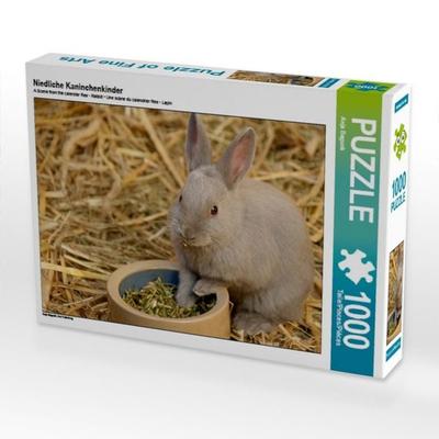 CALVENDO Puzzle Niedliche Kaninchenkinder 1000 Teile Puzzle quer | 1000 Teile Lege-Größe 64 × 48 cm Foto-Puzzle für glückliche Stunden