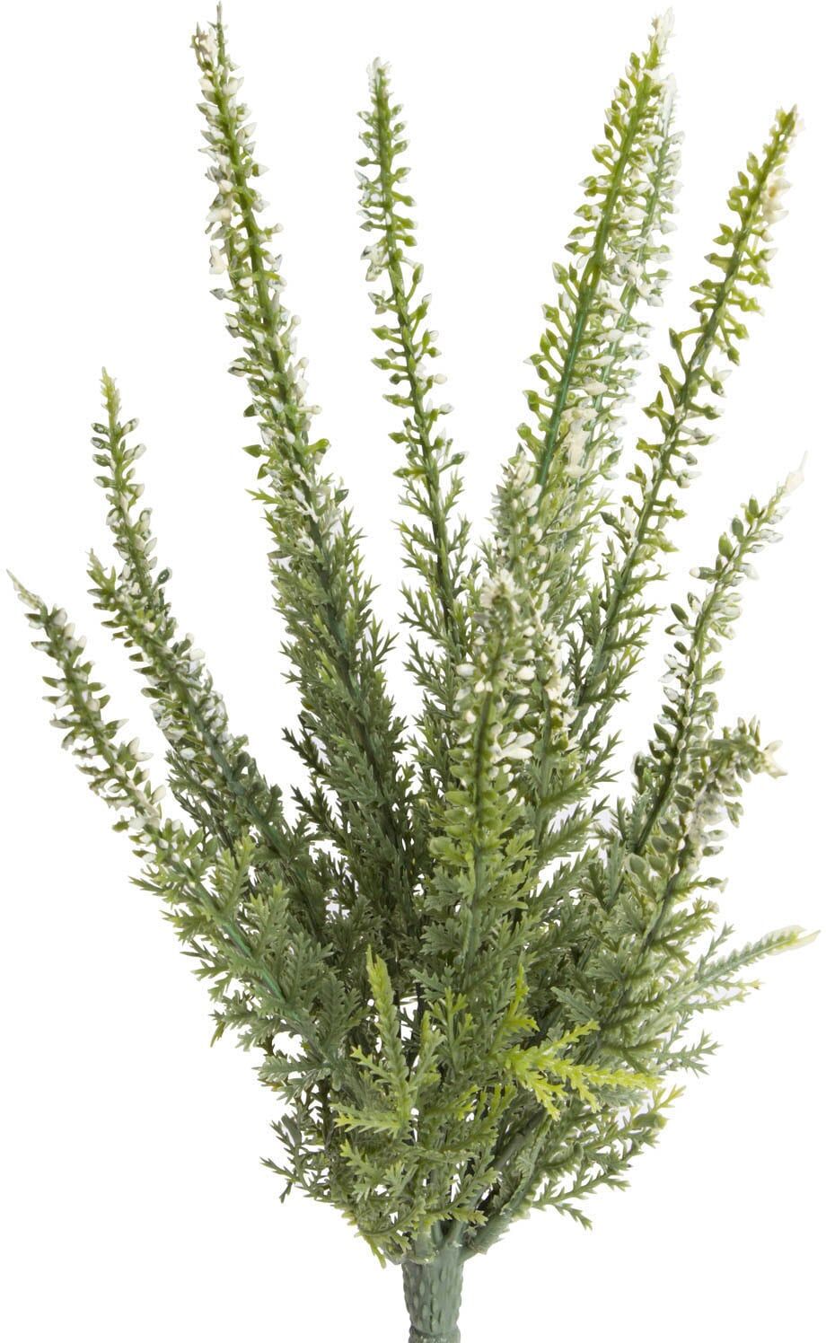 Kunstblume BOTANIC-HAUS "Erikabusch mit 15 Stielen", weiß, B:12cm H:29cm T:12cm Ø:12cm, Kunststoff, Kunstpflanzen