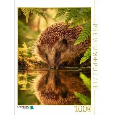 CALVENDO Puzzle Der Igel stillt seinen Durst am Spiegel der Natur | 1000 Teile Lege-Größe 64x48cm Foto-Puzzle für glückliche Stunden, Sonstige von ,