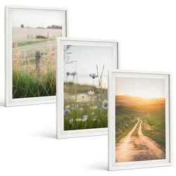 BILDER SET 3er Set - 40x60 cm Weißer Rahmen - Landschaften Natur Felder Weg