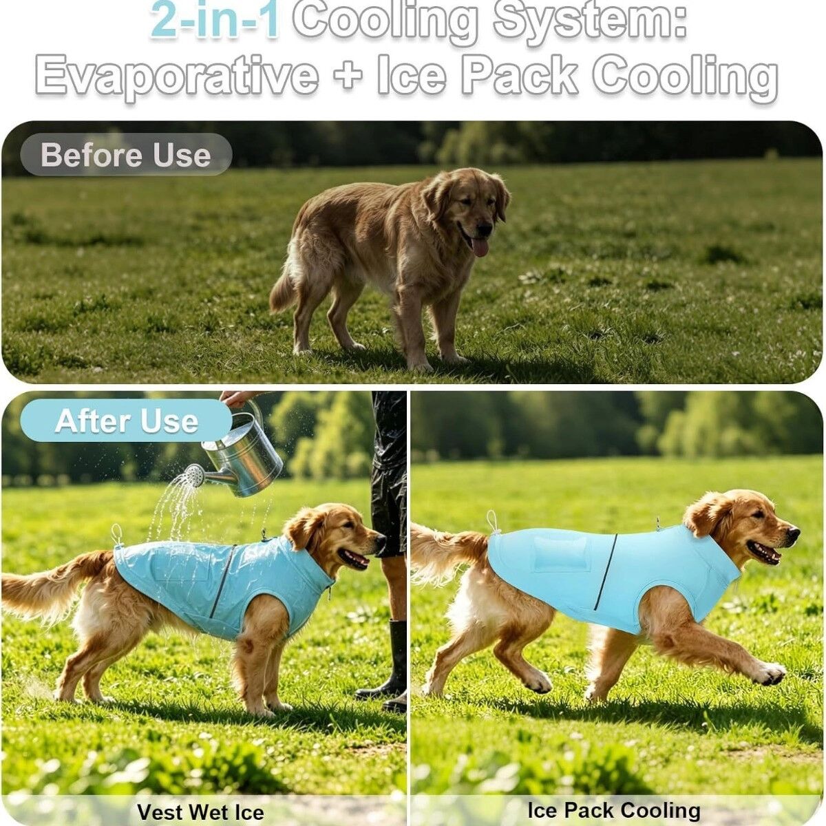 INF Gilet rafraîchissant pour chien avec poche pack de glace, polyester respirant à séchage rapide, bleu