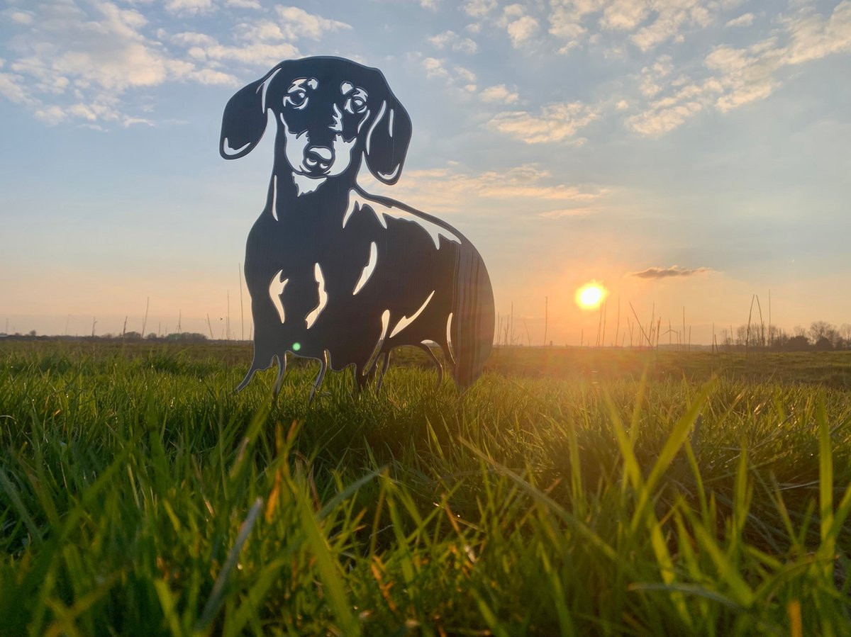 Metalen Wanddecoratie Teckel Hond