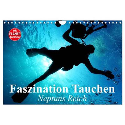 Faszination Tauchen. Neptuns Reich (Wandkalender 2026 DIN A4 quer), CALVENDO Monatskalender
