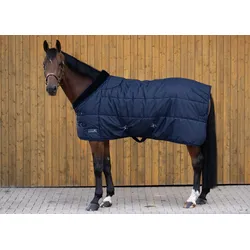Stalldecke RS Thermo 600D, 200g