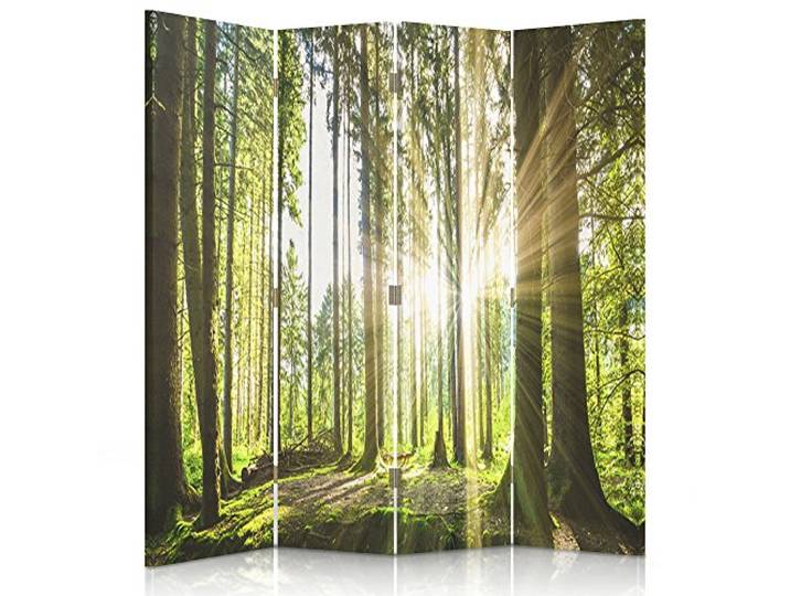 Feeby Frames. Raumteiler, Gedruckten auf Canvas, Leinwand Wandschirme, dekorative Trennwand, Paravent beidseitig, 4 teilig, 360° (145x180 cm), Wald, Baum, Sonne, Natur, Landschaft, GRÜN