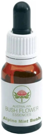 Natur Alpine Mint Bush Essenza Da 15ml 1 Pezzo