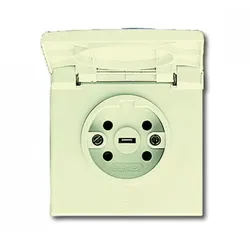 Busch-Jaeger 2064 UG-101 Steckdose Klappdeckel