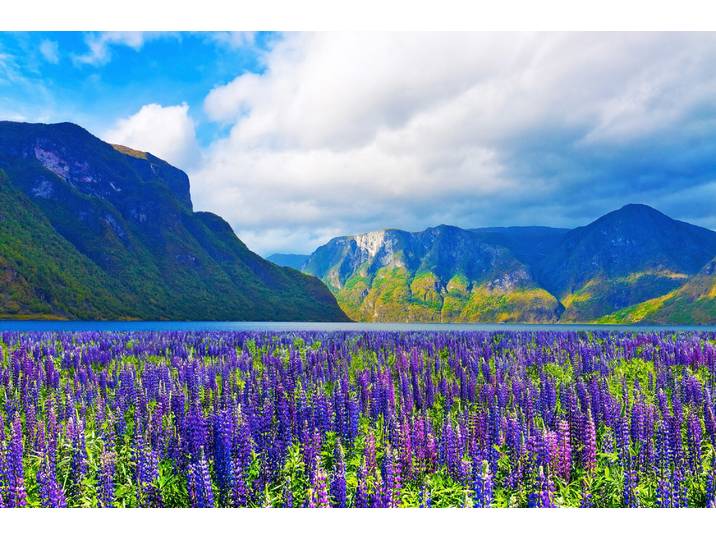 Fototapete PAPERMOON FJORD-NORWEGEN GEBIRGE BLUMEN SONNE WALD FLUSS BÄUME , bunt, B:4,5m L:2,8m, Vlies, Tapeten, Fototapete